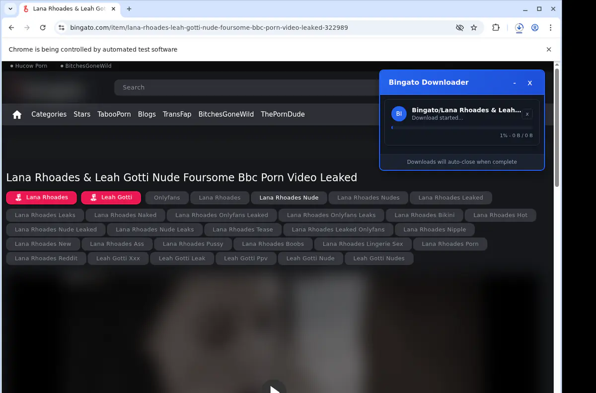 Bingato Video Downloader screenshot 2