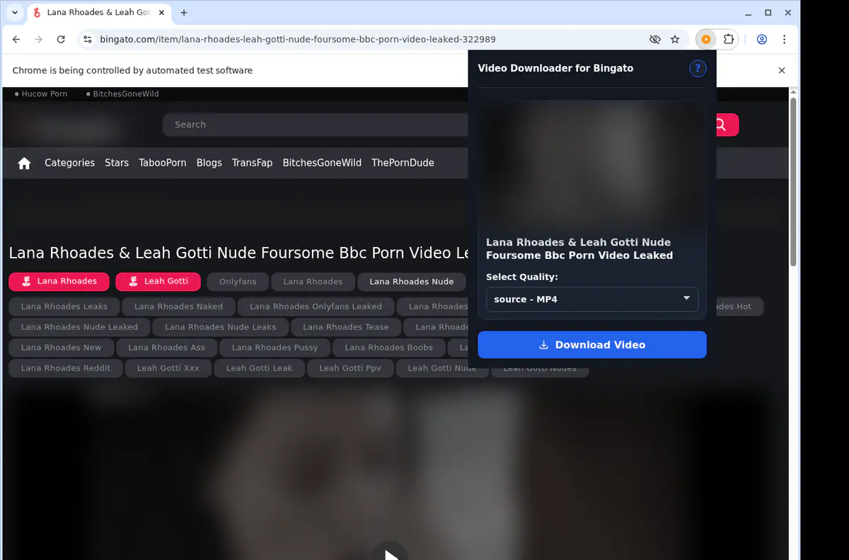 Bingato Video Downloader screenshot 3