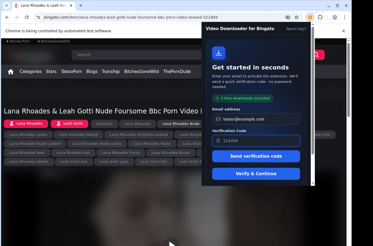 Bingato Video Downloader screenshot 4