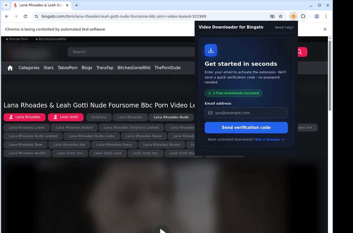 Bingato Video Downloader screenshot 5